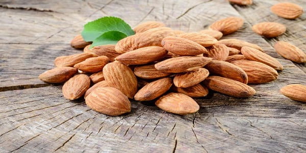 تصویر 1 از خرید مغز بادام مامائی + قیمت فروش استثنایی